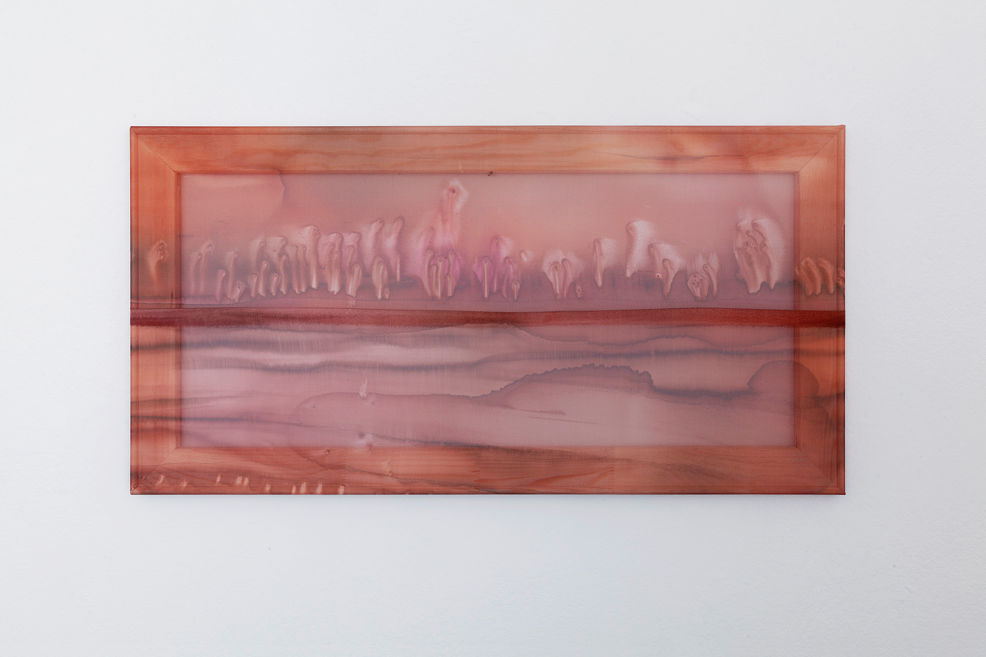 Condition I 2024 silk, silkpainting and woodframe 35x68x2 cm