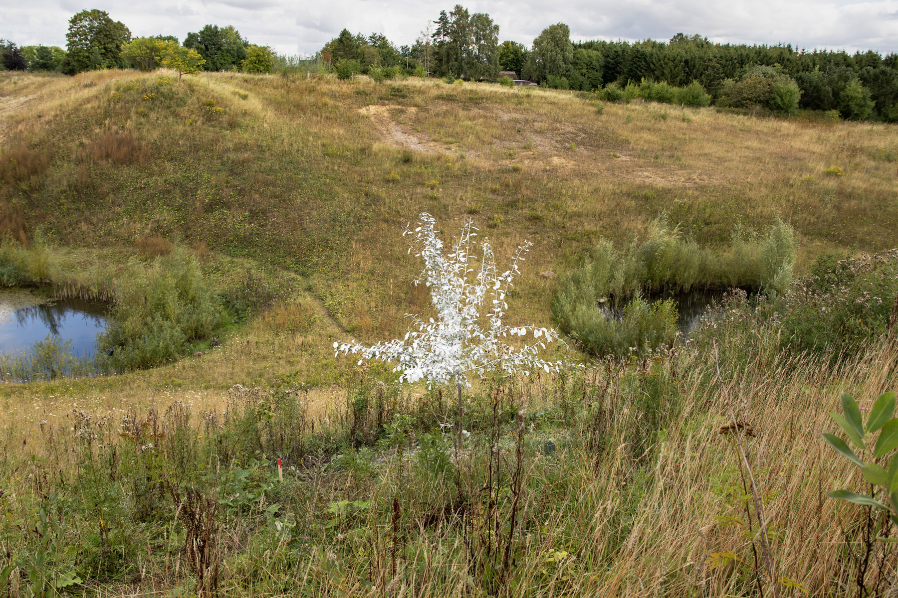 5_Commen Ground_Titel_"Sometimes it snows in august"_Kunstner_Søren Martinsen_Materiale_træ, mixed media og falsk sne_2024_Foto_Birk Thomassen