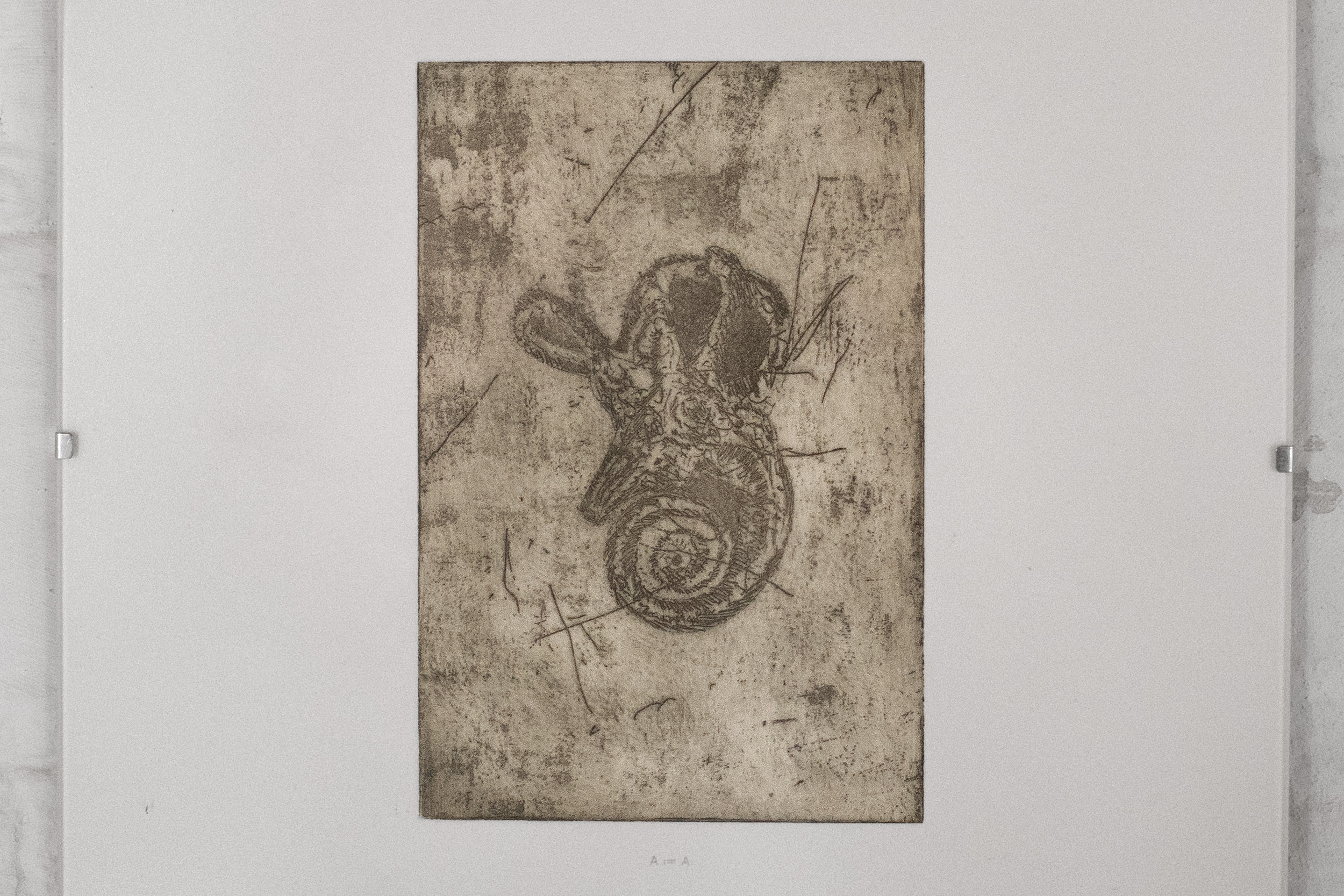 Anders Aarvik, untitled (inner ear machine fossil sigil), Etching, water-based ink and soil, cotton paper retrieved from deceased artist, plotting with GraphGear 1000, found clip frame, 3x 24x30 cm each