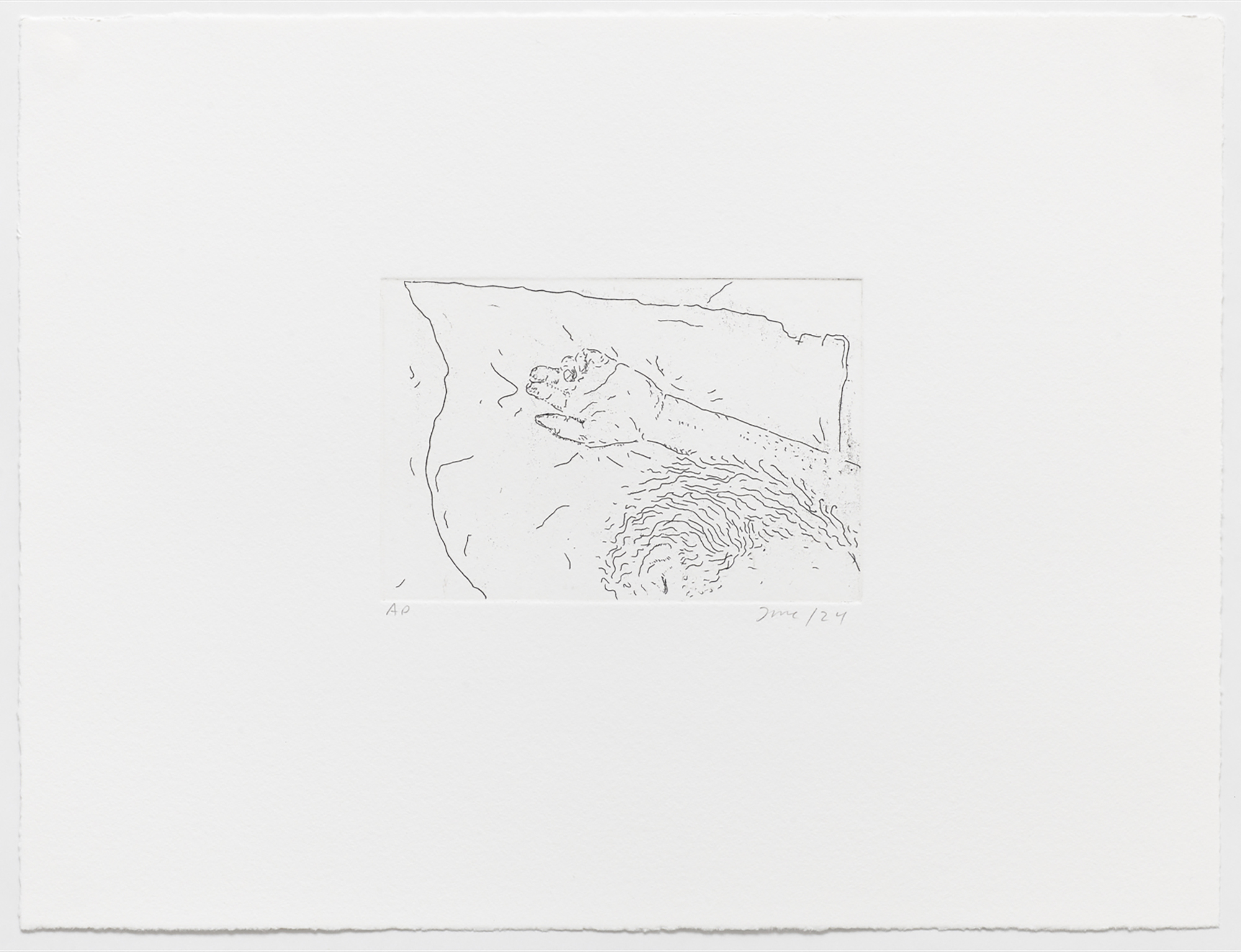 Jeppe Sleeping, 2024, copper etching on BFK - Arches Rives 300g