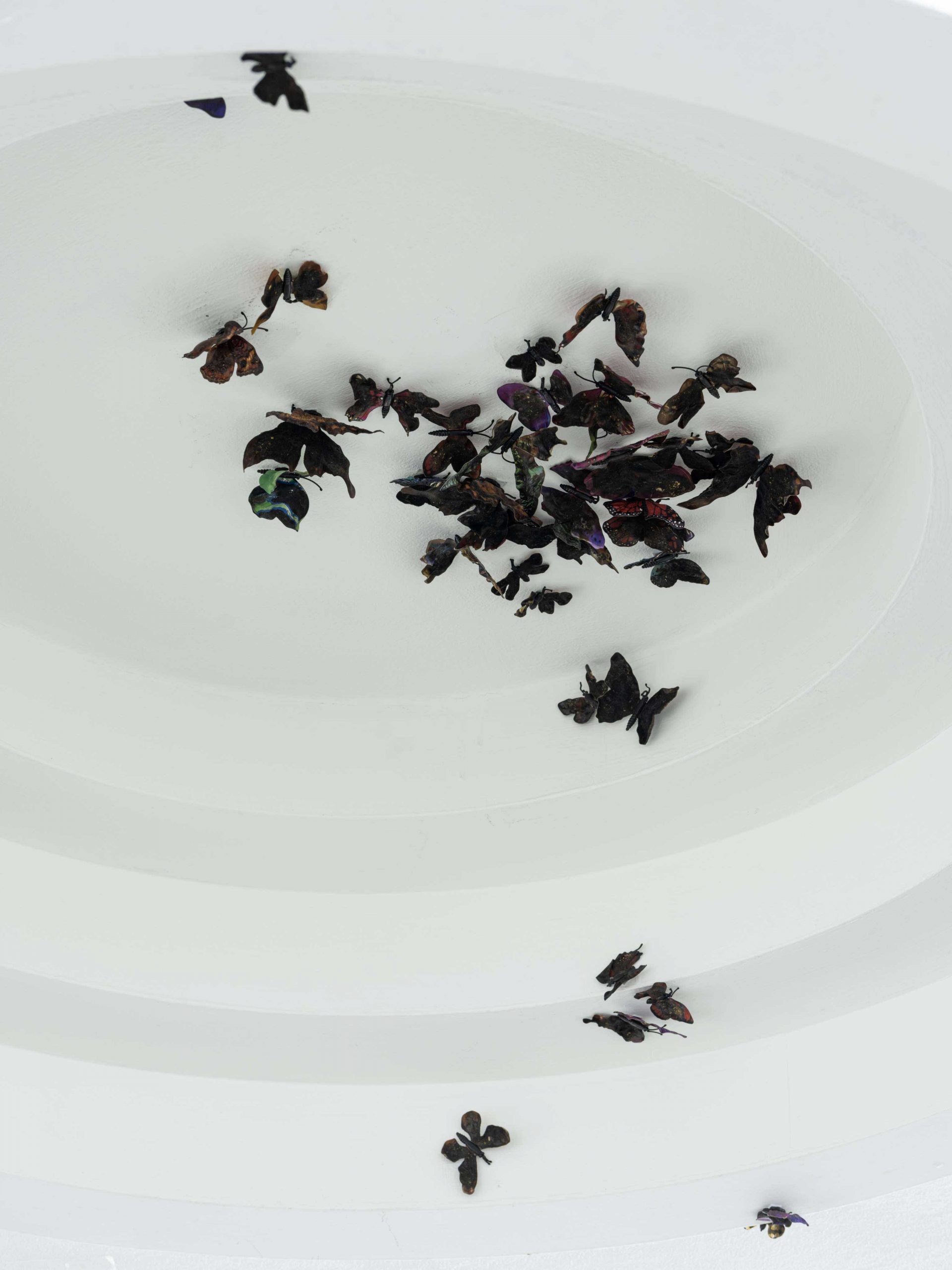 Installation view (burned plastic butterflies)